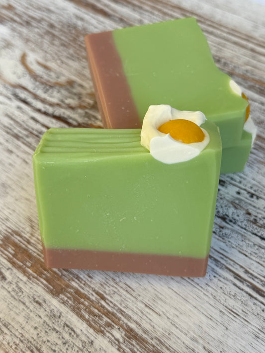 Avocado Toast Soap Bar
